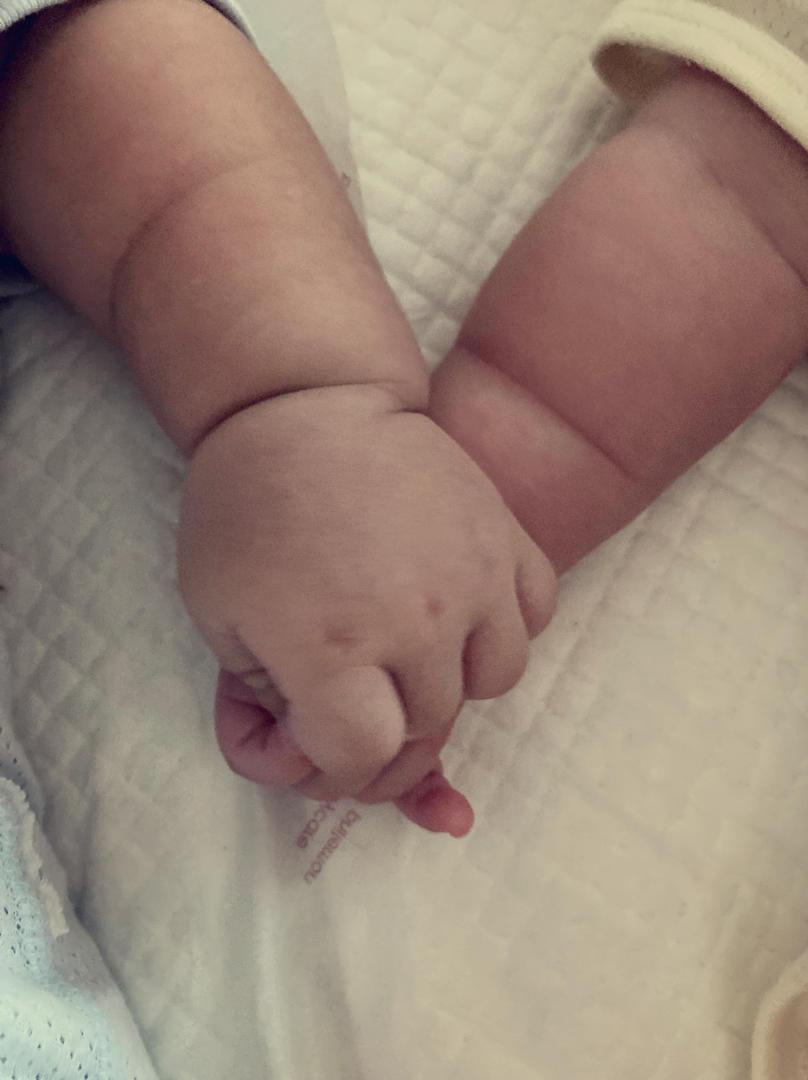 自由奔跑的小短腿