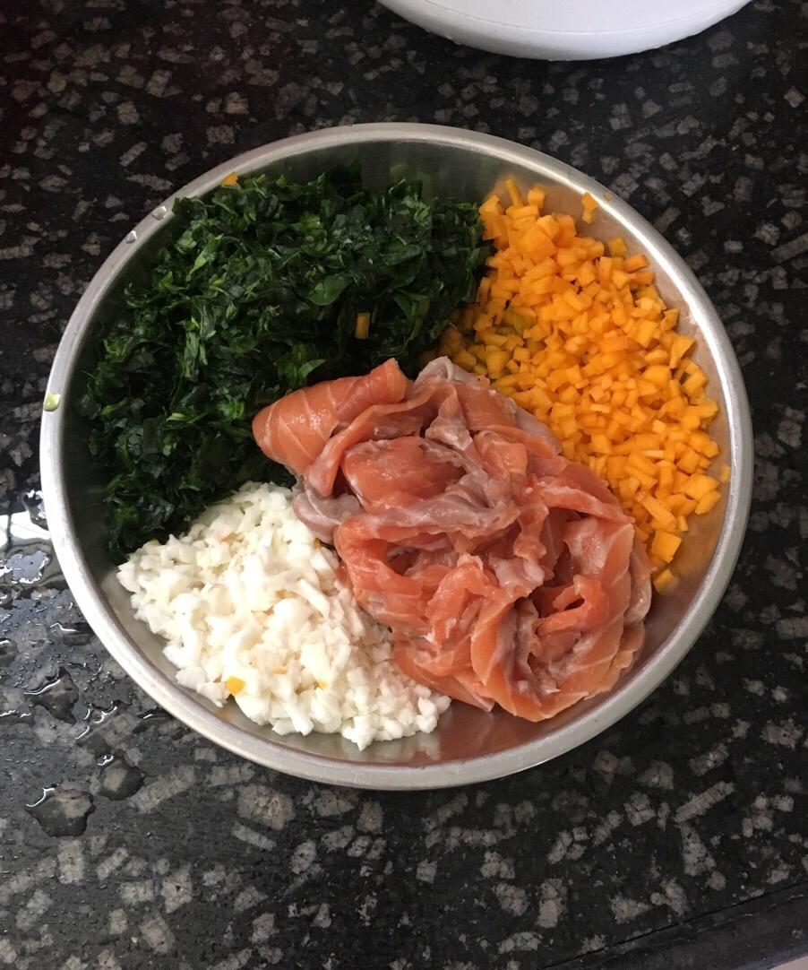 狗狗鲜食——色彩的密码