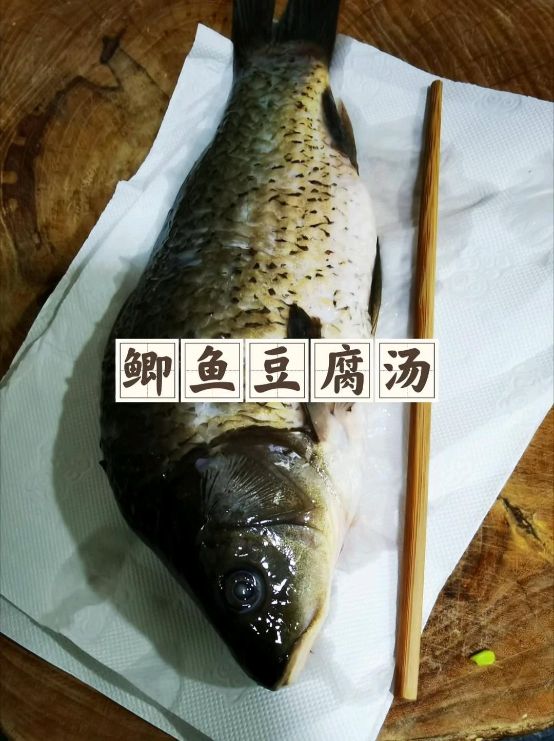 鲫鱼豆腐汤