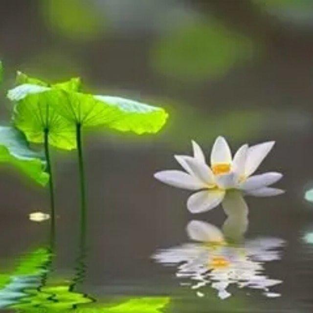 快了厨房的厨房