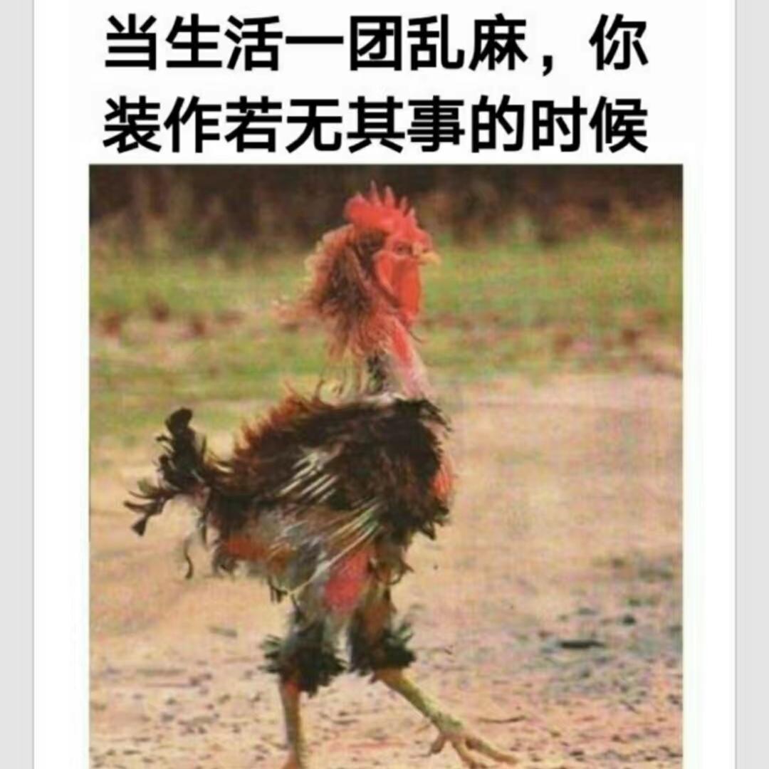 咦呦咦呦喂