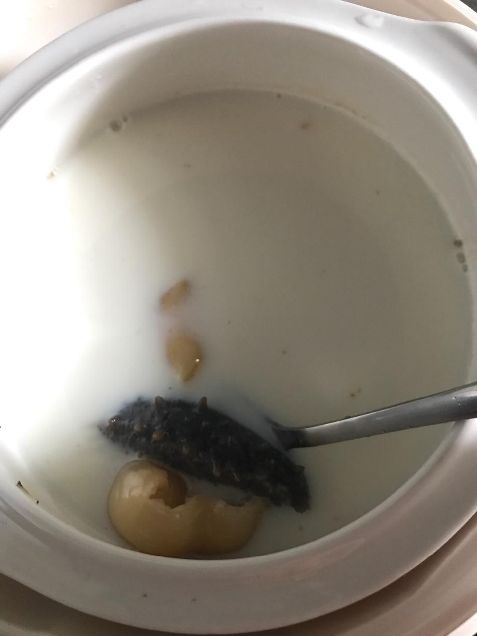 牛奶炖花胶