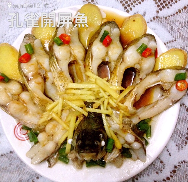 孔雀开屏鱼