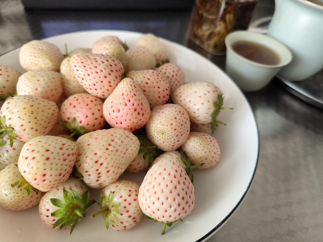 养生茶饮简单做——虫草甘露茶