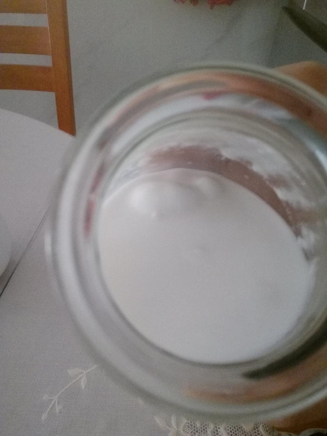 Kefir 开菲尔酸奶