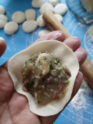 黄瓜虾仁水饺的做法 步骤10