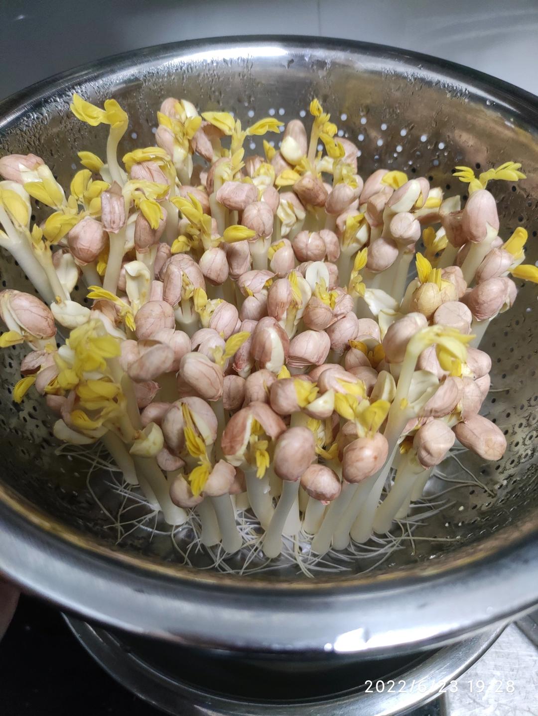 鹅卵石发花生芽