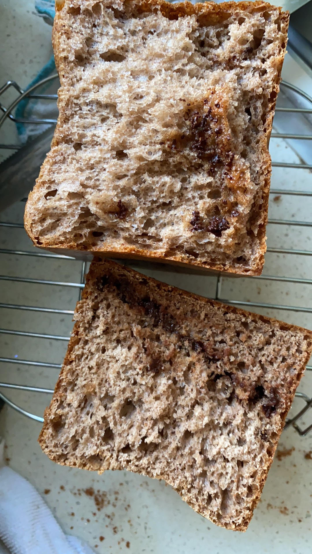 蜂蜜黑麦三明治吐司🍯70%黑全麦中种🥪