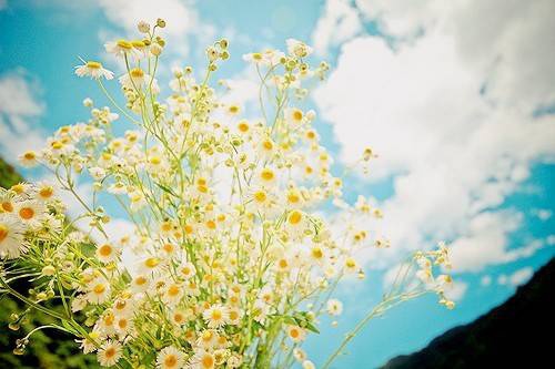 ❤。→≤SAMA≥℃