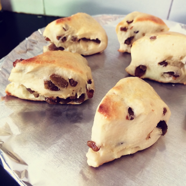 葡萄干司康（酵母版）