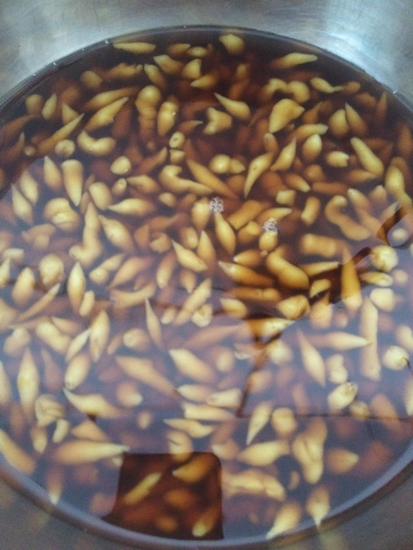 槐花粉