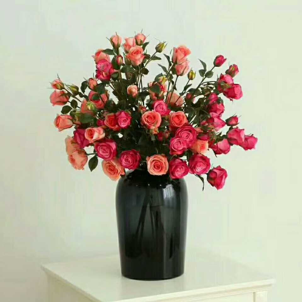 手机用户7861_5ufi