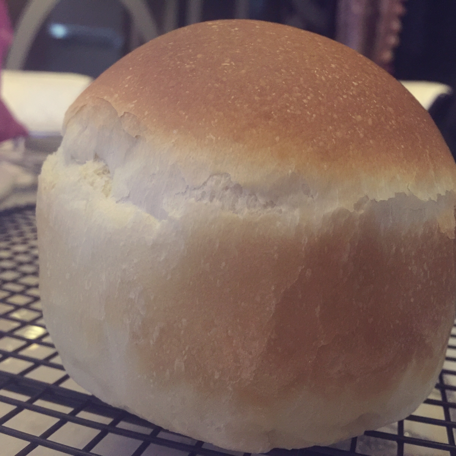 基础面包制作 Basic Bread (Loaf&Roll)