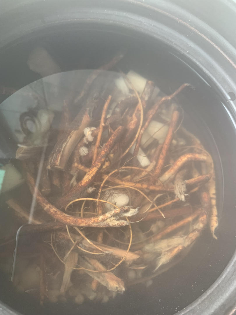 五指毛桃茯苓去湿汤（二）