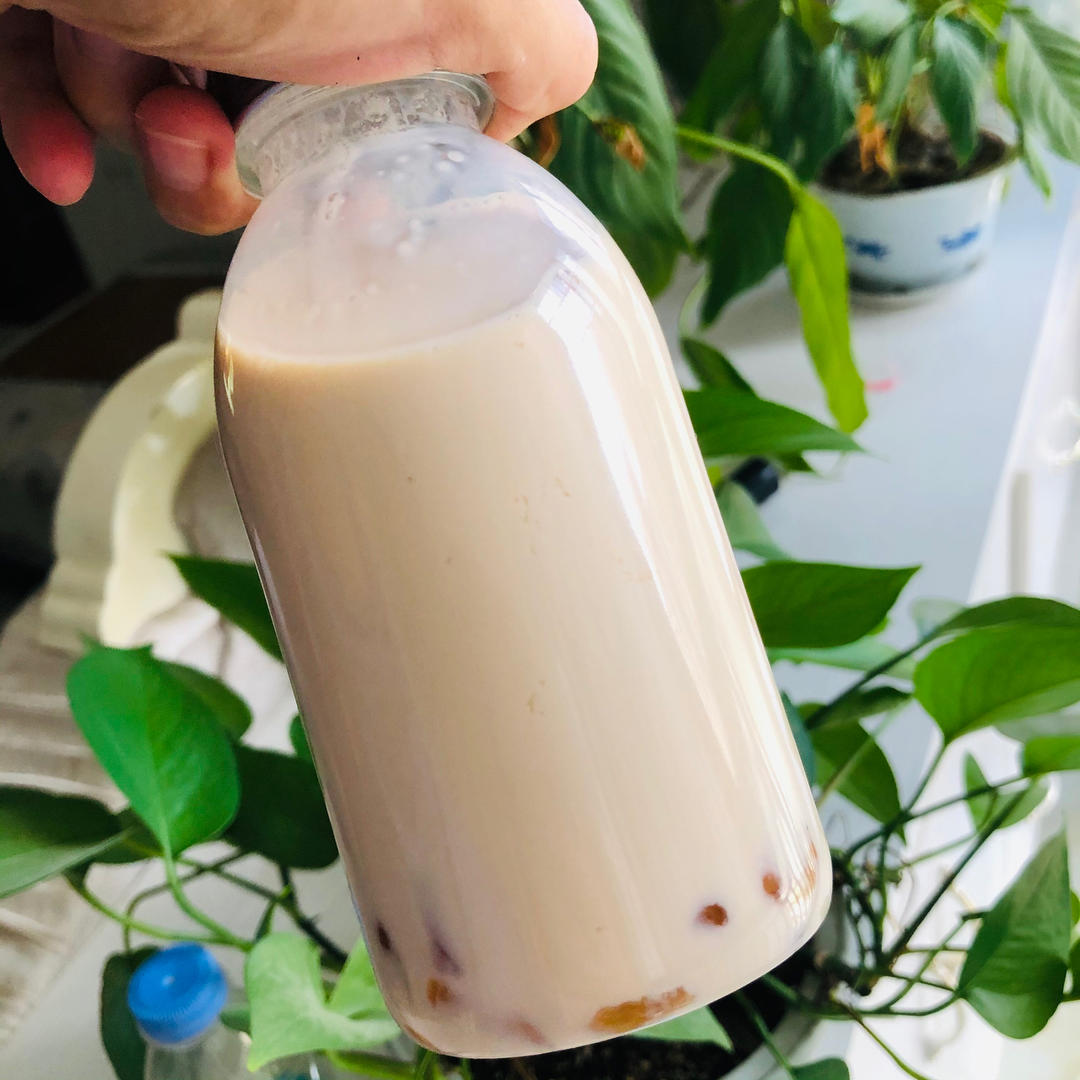 自制珍珠奶茶