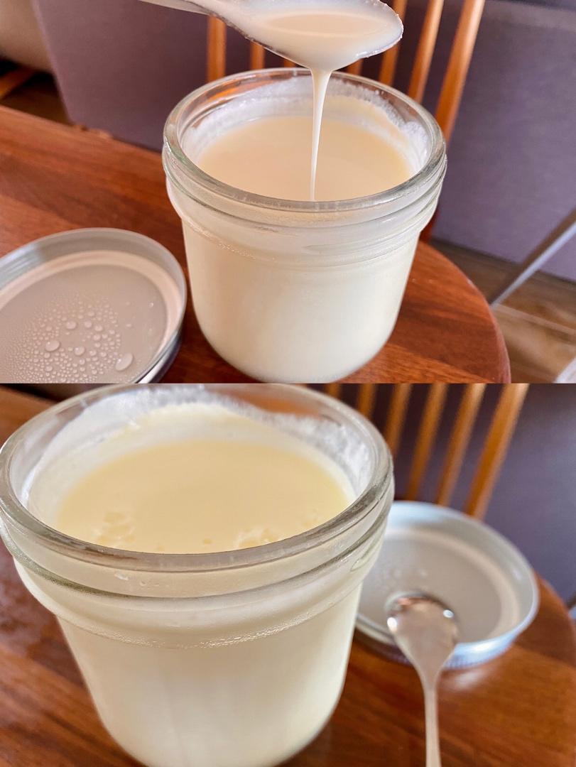 🥛0失败-浓郁顺滑-可拉丝酸奶（牛奶版，奶酪版，奶粉版）