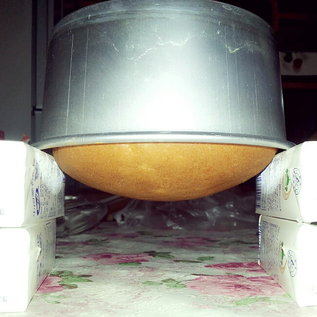 超软烫面戚风蛋糕