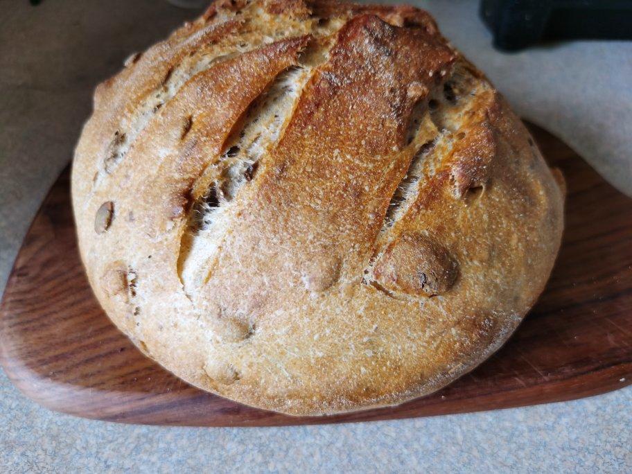 全麦蔓越莓核桃软欧包