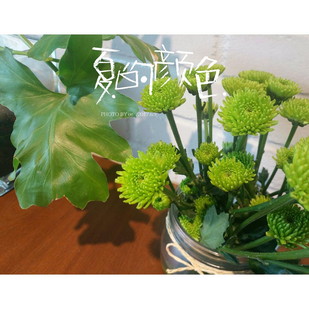 记录世界的一隅