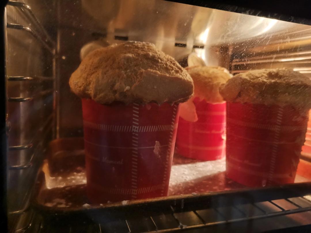 潘娜托尼(天然酵母版) Sourdough Panettone