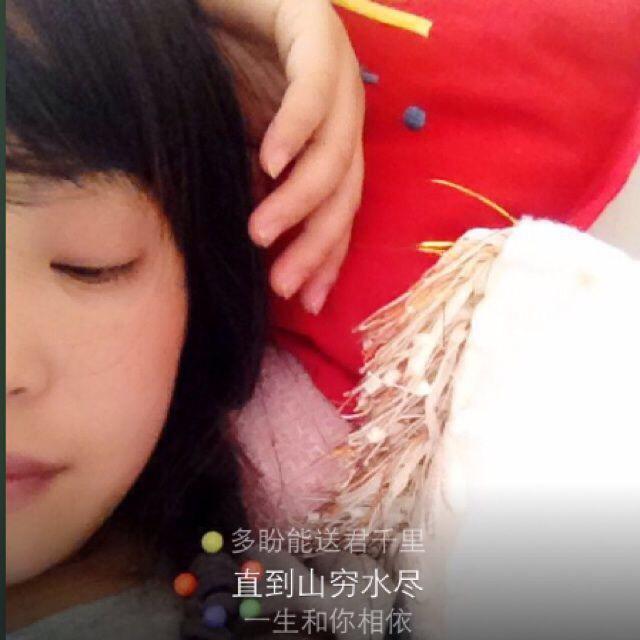 zt豆