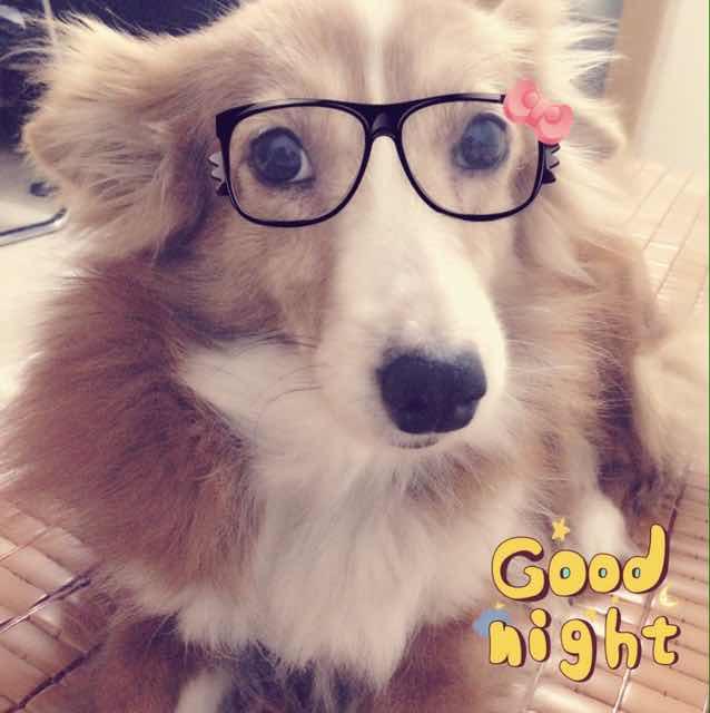 手机用户3355_utpo