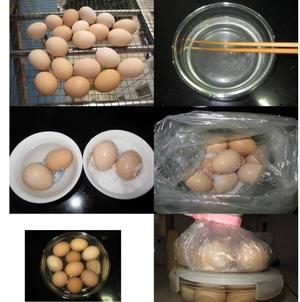 咸鸡、鸭、鹅蛋的腌制的做法 步骤11
