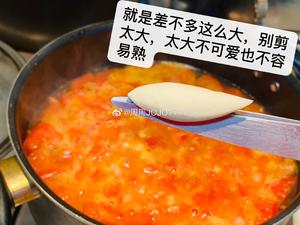 番茄鸡蛋面鱼鱼（面疙瘩，面川条）剪刀版。的做法 步骤10