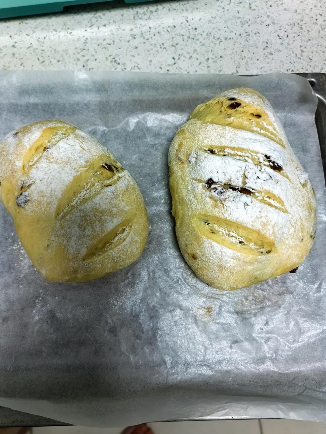 免揉蔓越莓面包，松软香甜巨好吃！一次成功✅