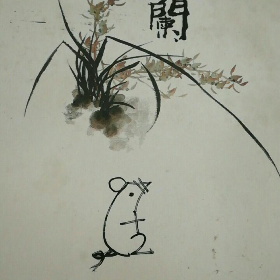 淡定萤火虫