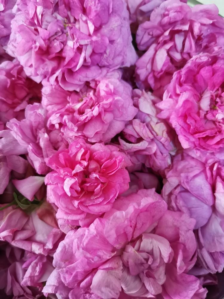 荼薇花 的做法步骤图 荼薇花 怎么做好吃 飞机场 下厨房