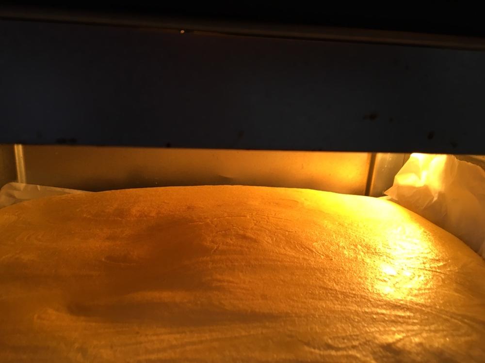 简易蛋糕(胚），拯救屡败星人（8寸）