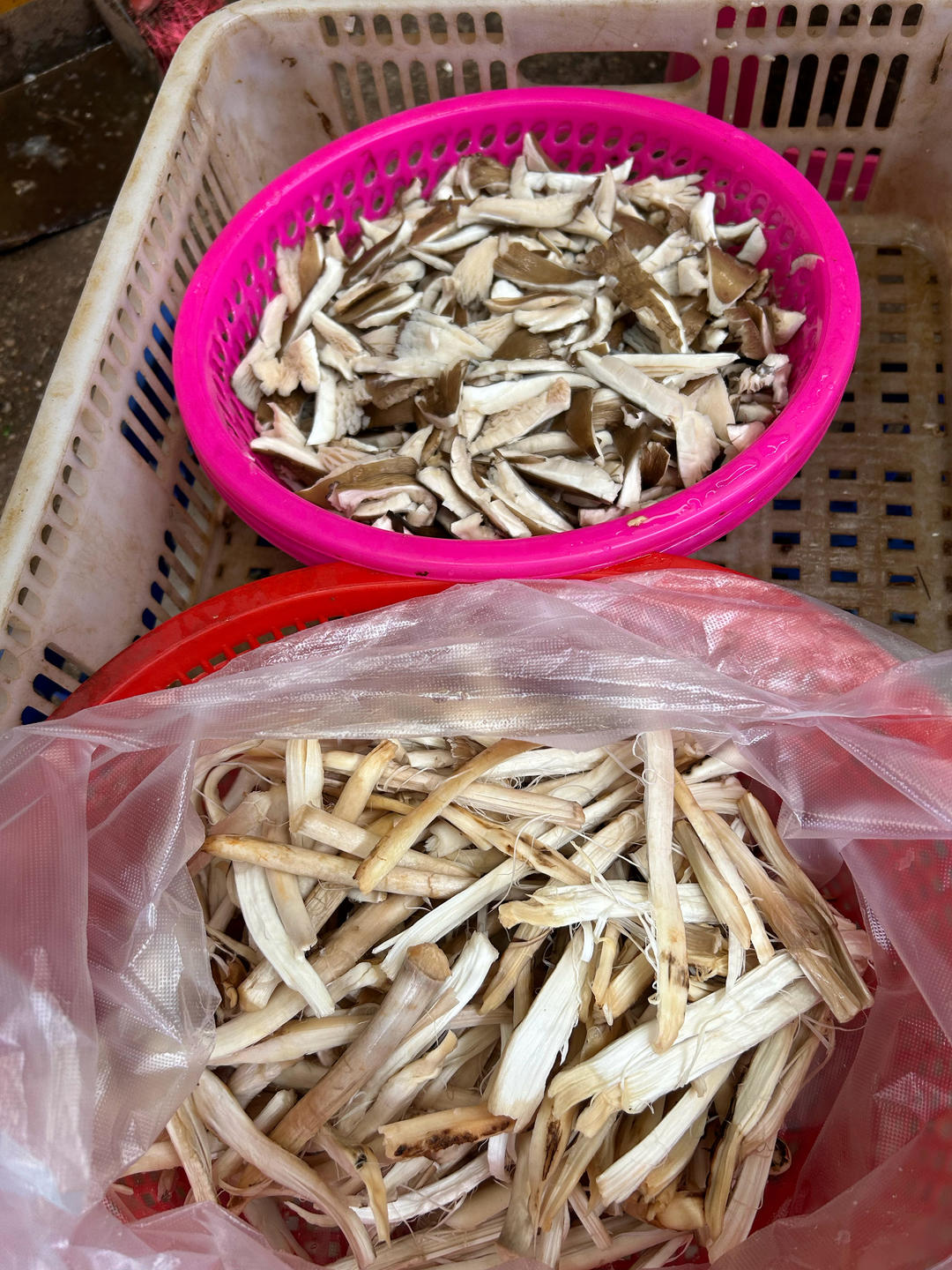 自制鸡枞油