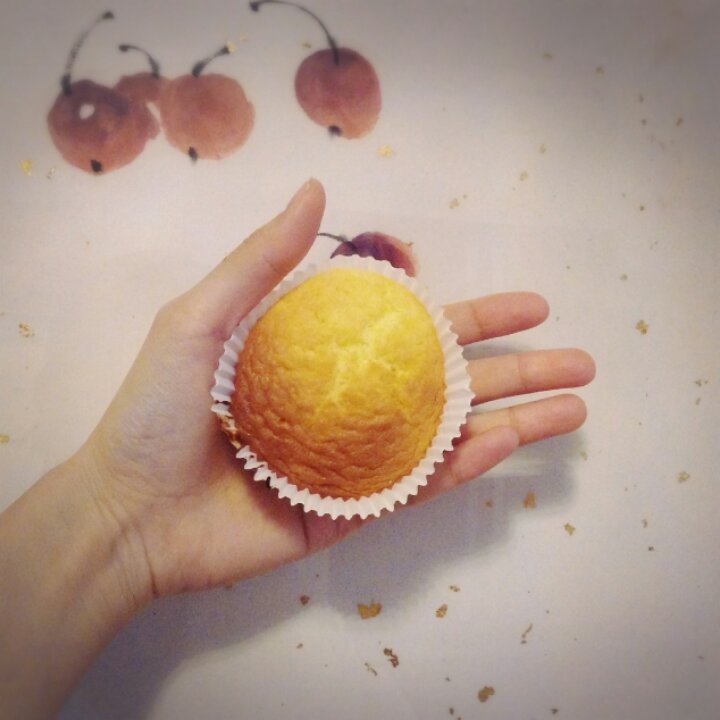 不会回缩的纸杯蛋糕--海氏烤箱定制