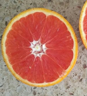 红脐橙水果的做法 步骤1