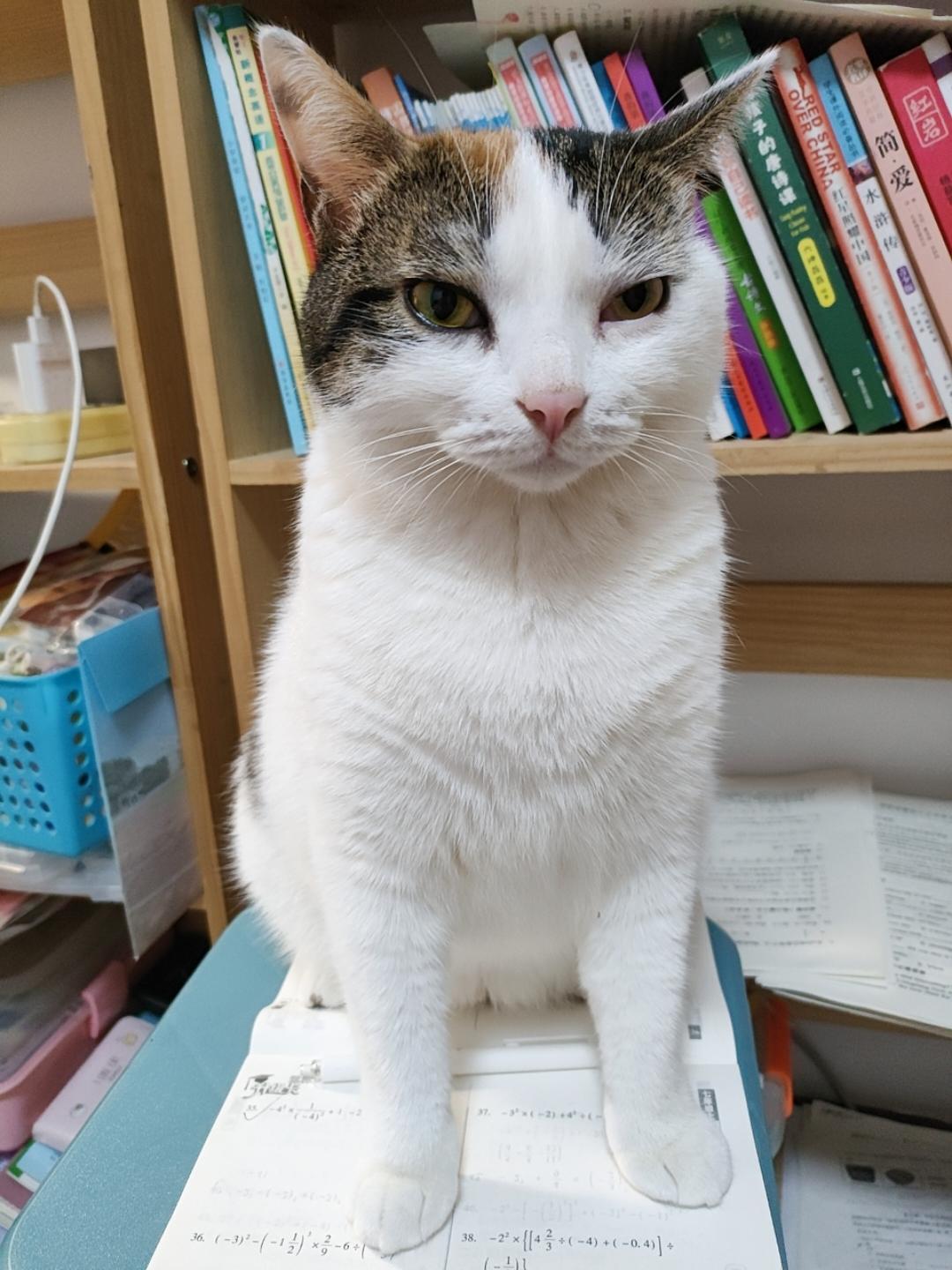 爱美食爱生活爱分享