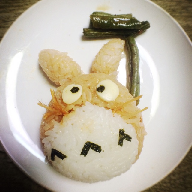 龙猫和煤球精灵饭团