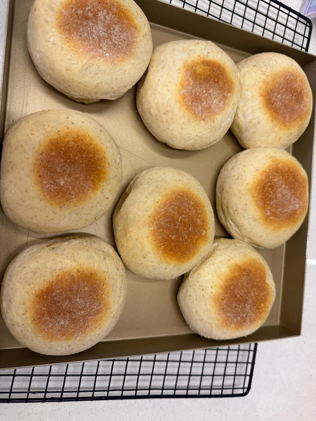 无糖无油全麦麦芬/简单好做好吃/一次发酵