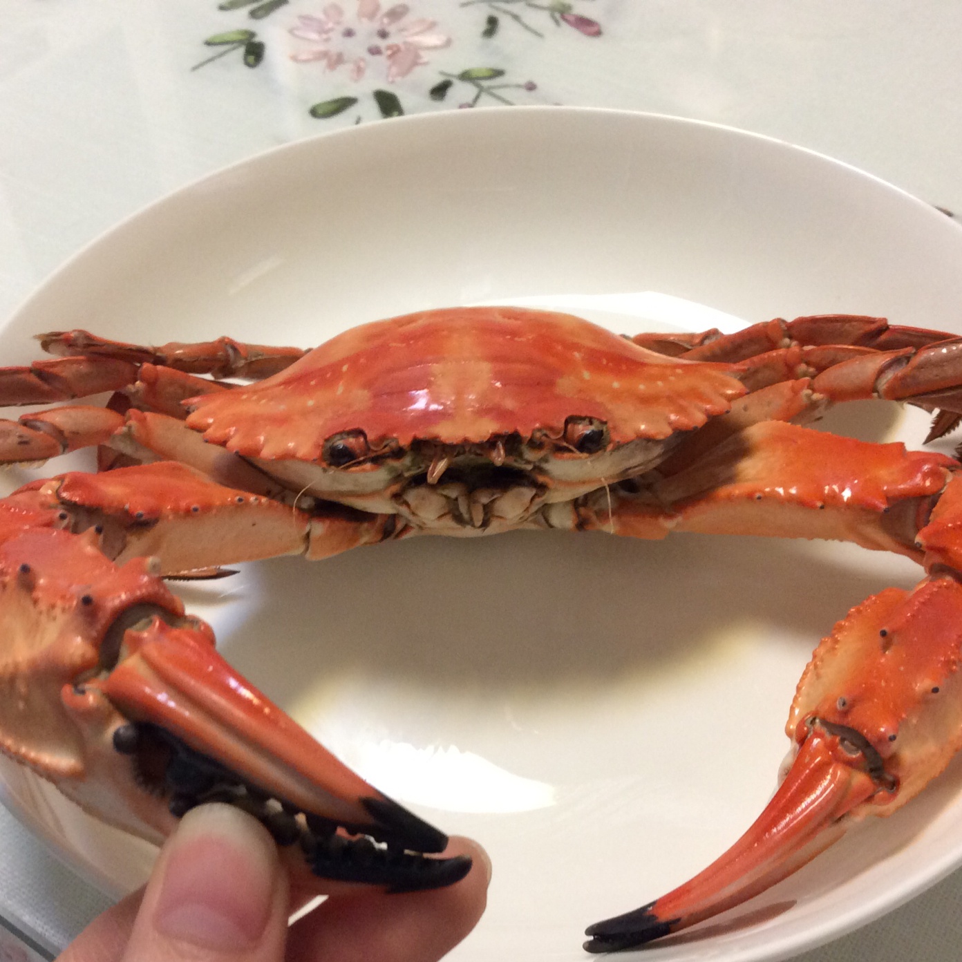清蒸海蟹