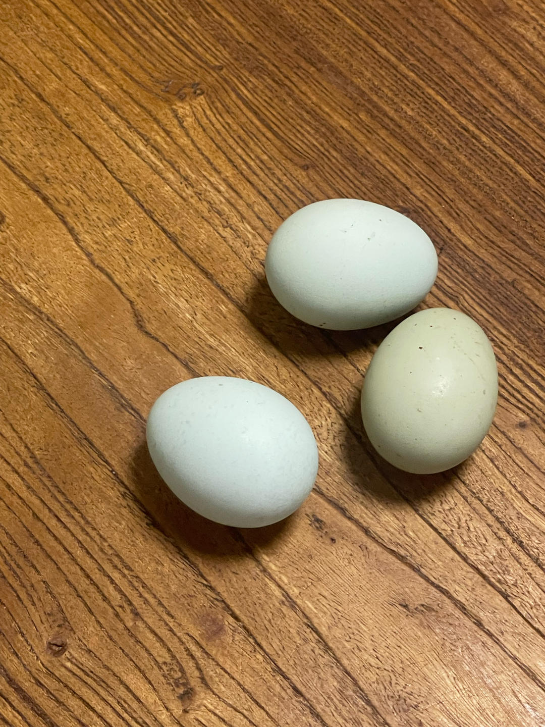 减脂饮食记录
