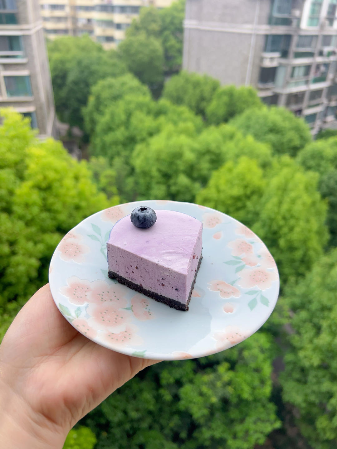 蓝莓慕斯蛋糕