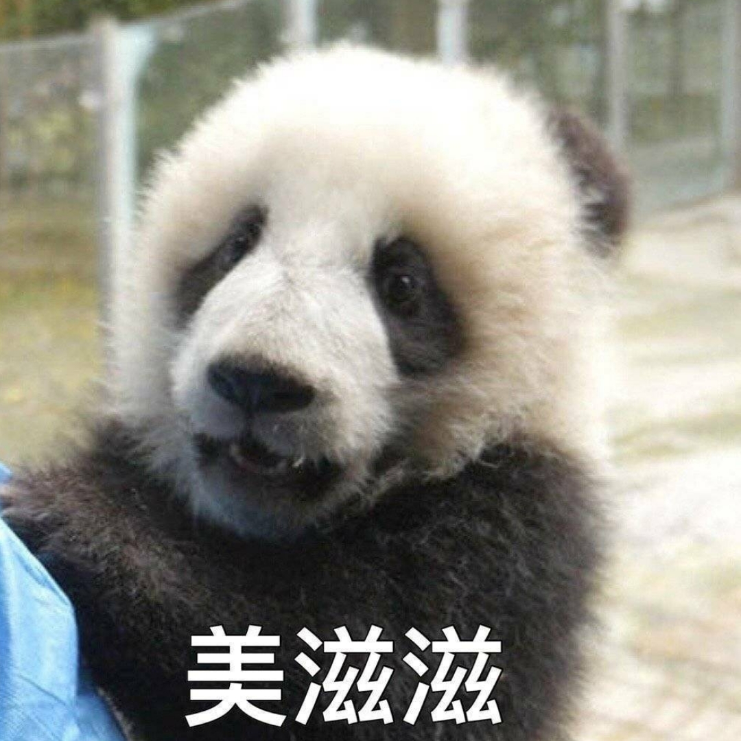 大熊猫真萌呀