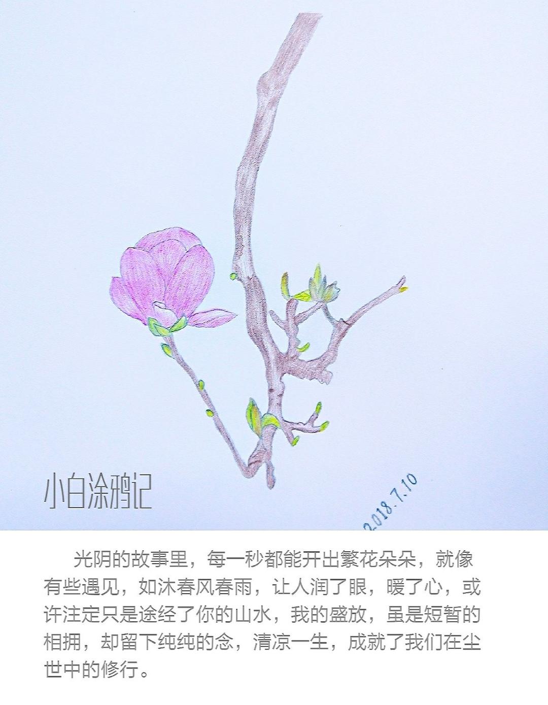 不为悦人，只为悦己