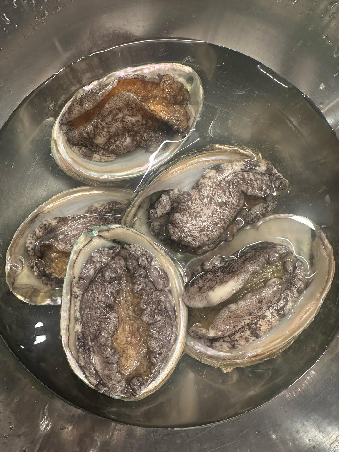 红烧鲍鱼