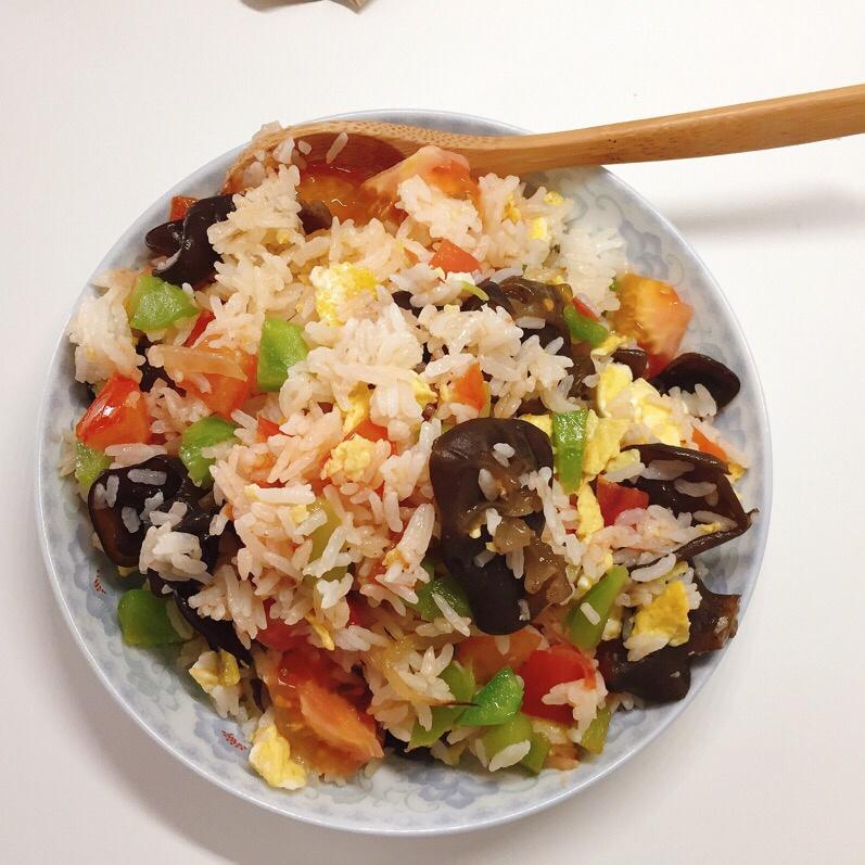 北极的笨熊做的午餐2018年7月12日