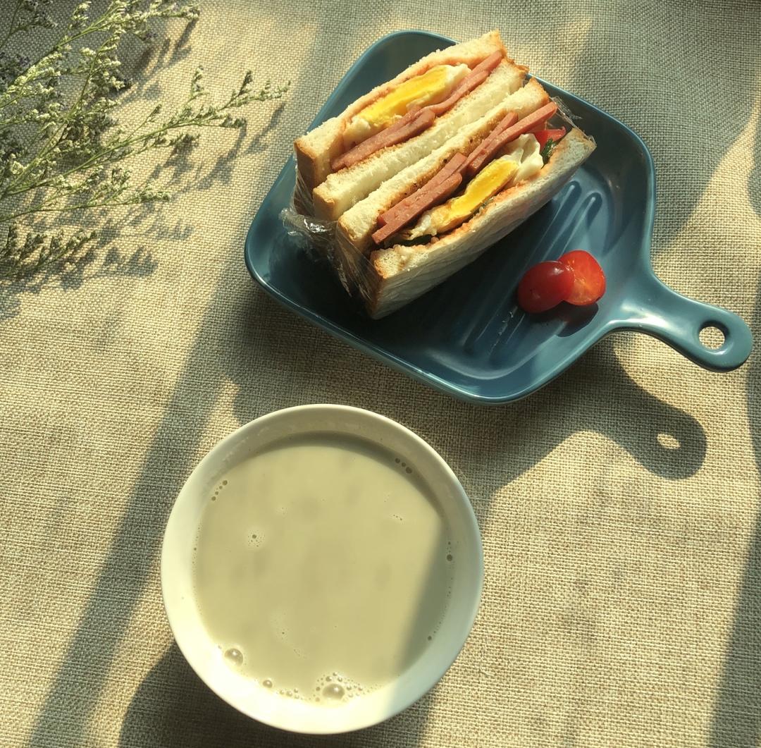 营养一网打尽，美好一天从三明治🥪开始