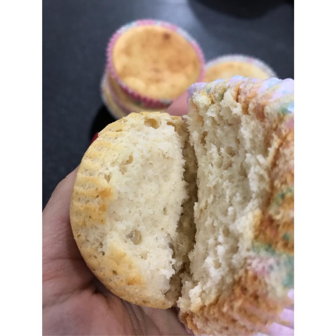 清爽软润---无油酸奶小蛋糕