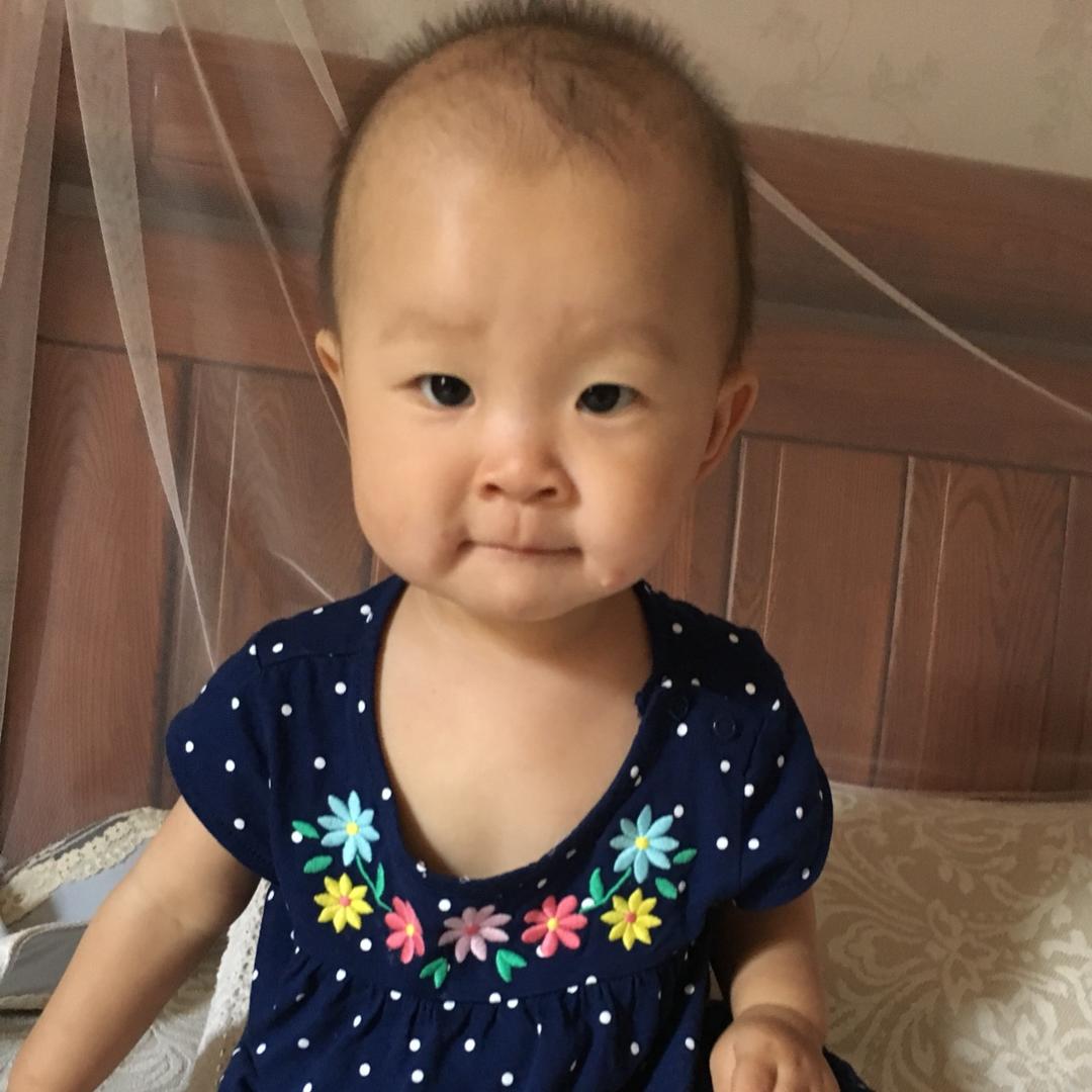 大乐乐陶陶
