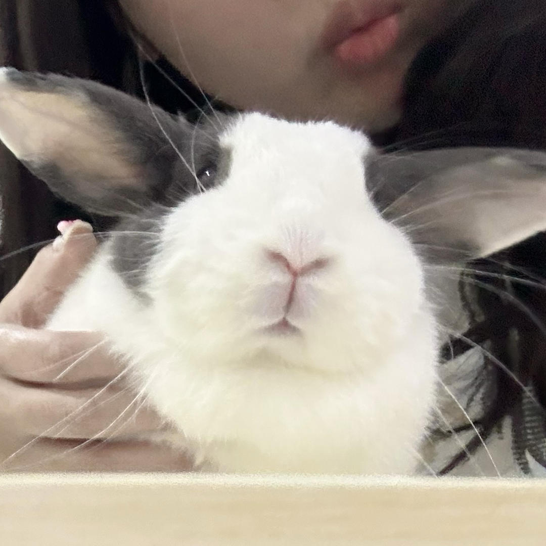 江发财