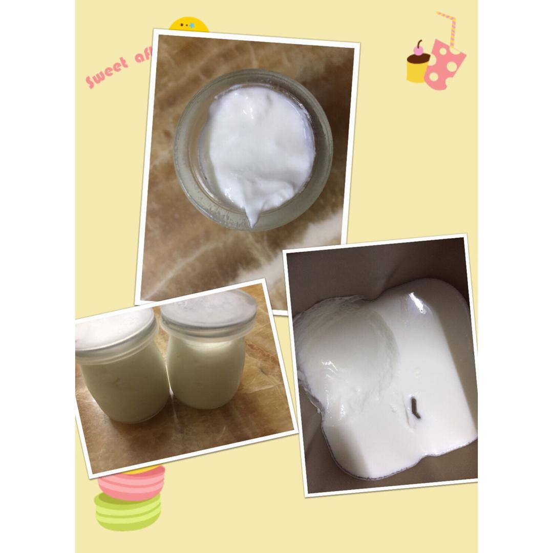 东菱面包机自制酸奶